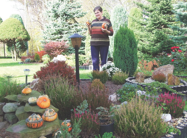 Dynie zebrane z grządki przed przymrozkami utrzymają się w domu aż do późnej wiosny.
