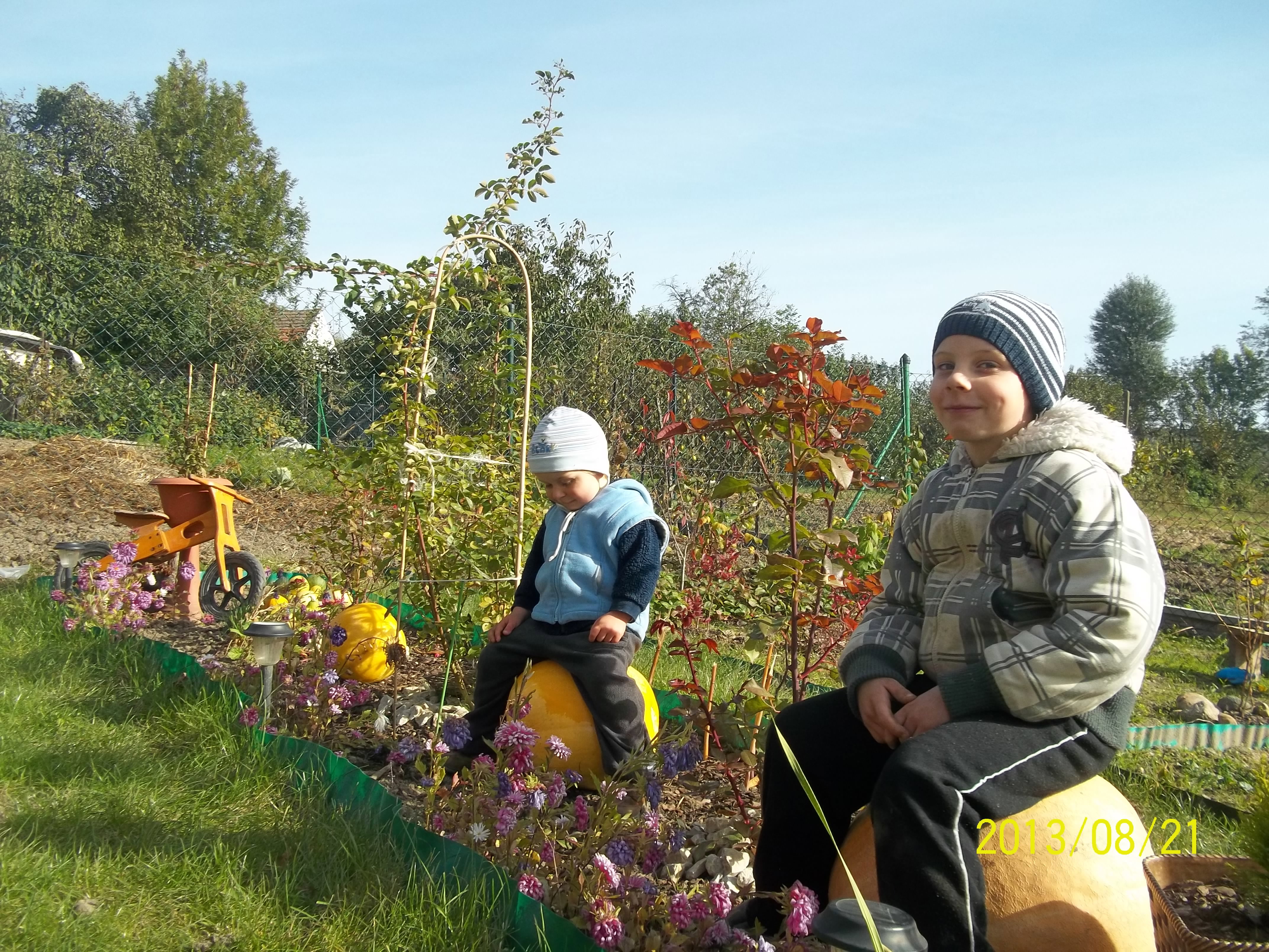 DZIECIACZKI NA DYNIACH:)