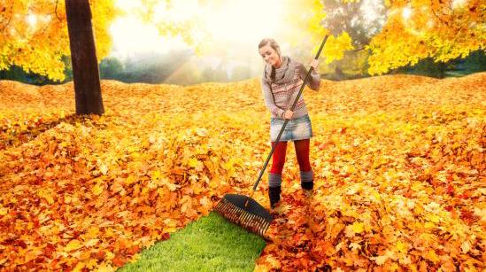 Dzięki nowatorskim rozwiązaniom firmy Fiskars grabienie liści przestanie być problemem