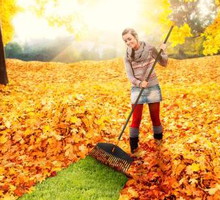 Dzięki nowatorskim rozwiązaniom firmy Fiskars grabienie liści przestanie być problemem