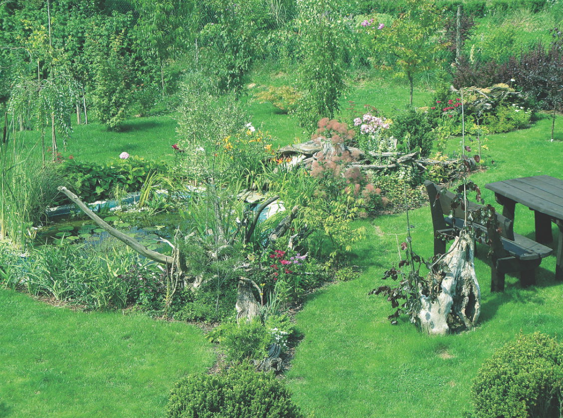 Dzika sceneria wokół oczka jest tylko z pozoru w nieładzie. Dokładnie zaplanowane rośliny tworzą spójną całość.

