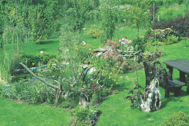 Dzika sceneria wokół oczka jest tylko z pozoru w nieładzie. Dokładnie zaplanowane rośliny tworzą spójną całość.