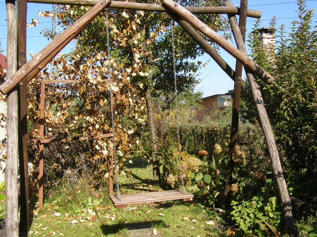 Efekt pierwszych przymrozków.