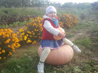 Gabrysia przy zbiorach dyni
