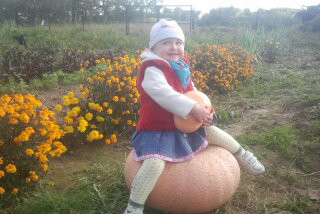 Gabrysia przy zbiorach dyni