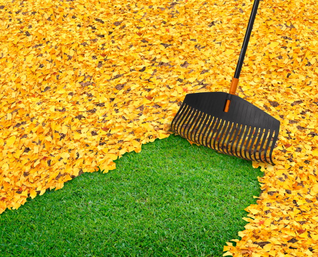 Grabie Fiskars TidyUp L