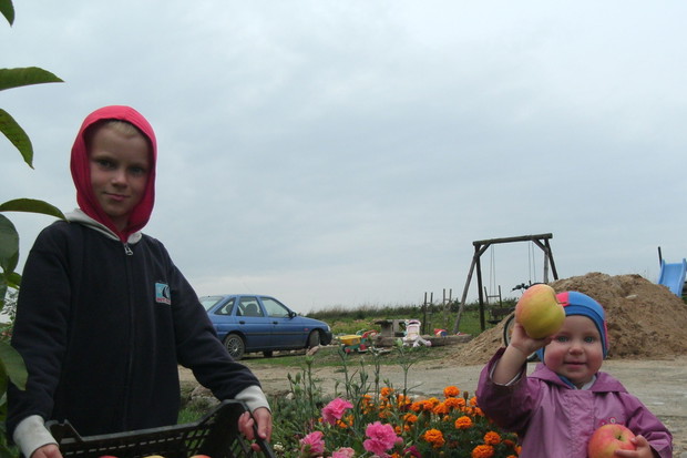 Idzie jesień złote jabłka w skrzynce niesie