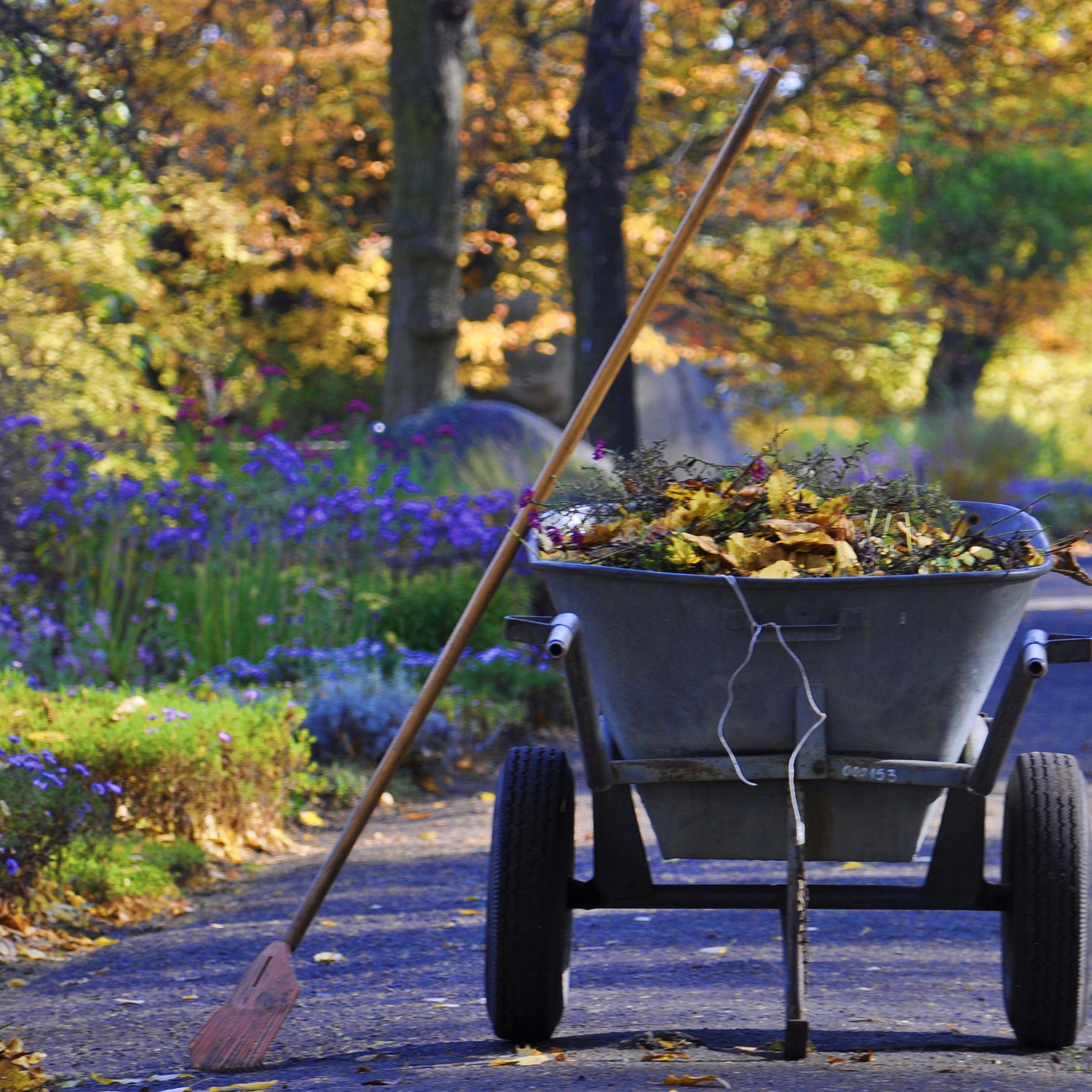 Jesień,liść ostatni już spadł