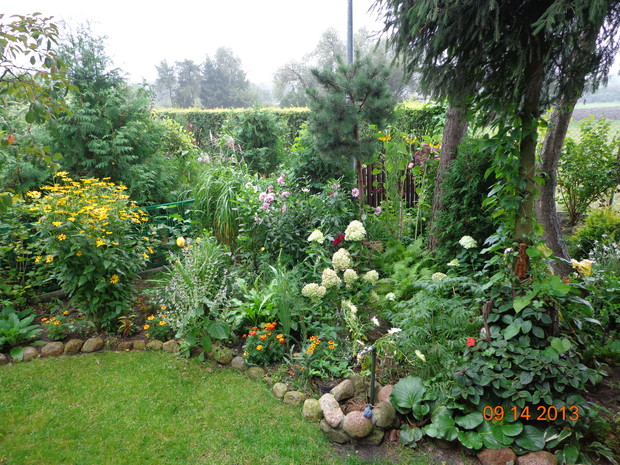 Jesień na rabacie w moim ogrodzie