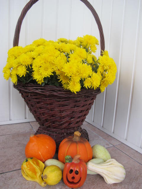 Jesień w tym roku trwa i trwa i oby jeszcze długo.....
