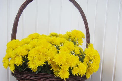 Jesień w tym roku trwa i trwa i oby jeszcze długo.....