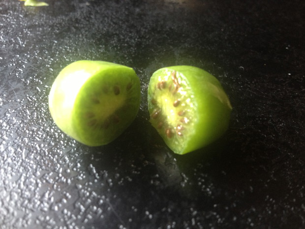 jest to miniaturowe kiwi