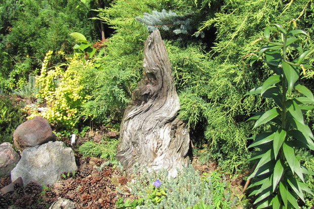 Kamień i drewno tworzą zgrany naturalistyczny duet