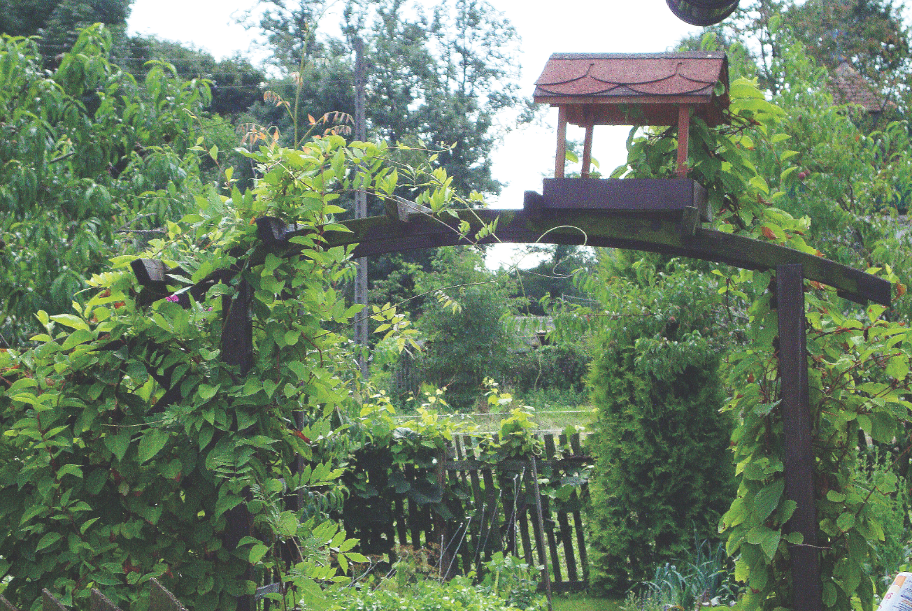 Karmnik musi być zamontowany w takim miejscu, aby ptaki w porę dostrzegły zagrożenie w postaci kota bądź krogulca.