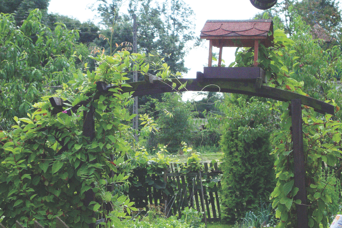 Karmnik musi być zamontowany w takim miejscu, aby ptaki w porę dostrzegły zagrożenie w postaci kota bądź krogulca.