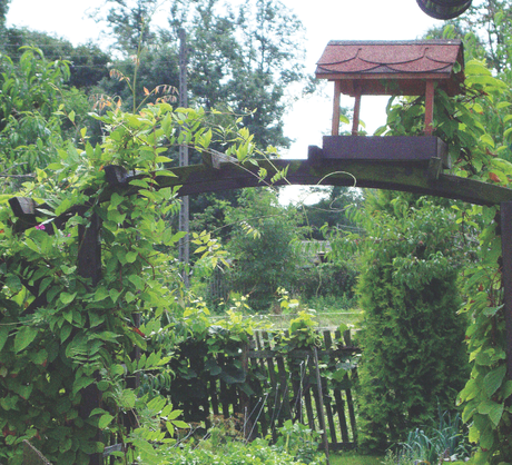 Karmnik musi być zamontowany w takim miejscu, aby ptaki w porę dostrzegły zagrożenie w postaci kota bądź krogulca.