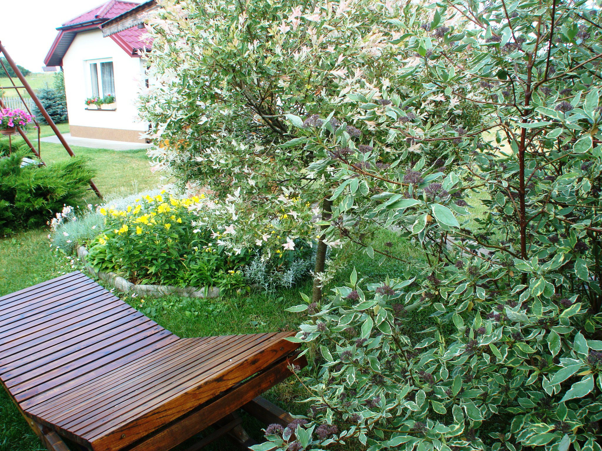 Kawałek zielonego kącika do leżakowania