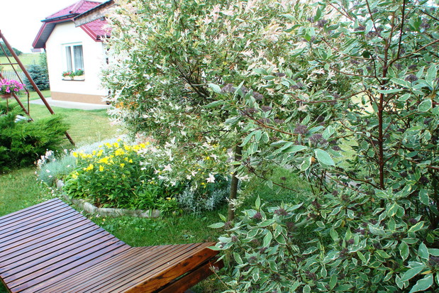 Kawałek zielonego kącika do leżakowania