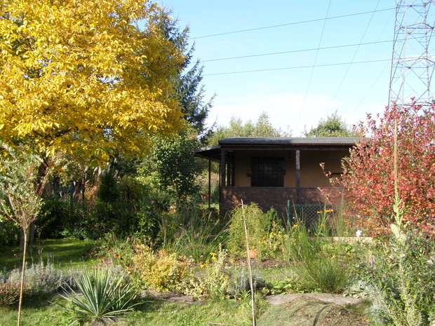 Kolorowa jesień zachęca do relaksu.