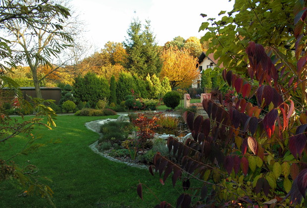 Kolorowe kontrasty wybarwiających się liści.