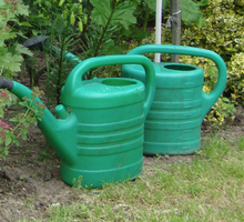 Konewki nie musimy używać codziennie – wystarczy rzadkie, ale intensywne nawadnianie.