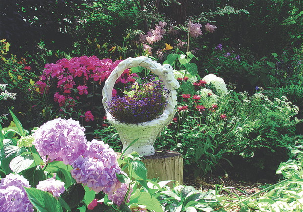 Kwiaty warto sadzić według wysokości i koloru. 