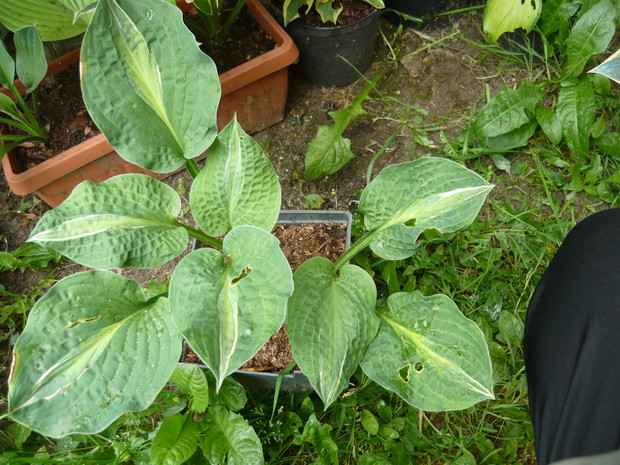 Ładna, inna niż wszystkie