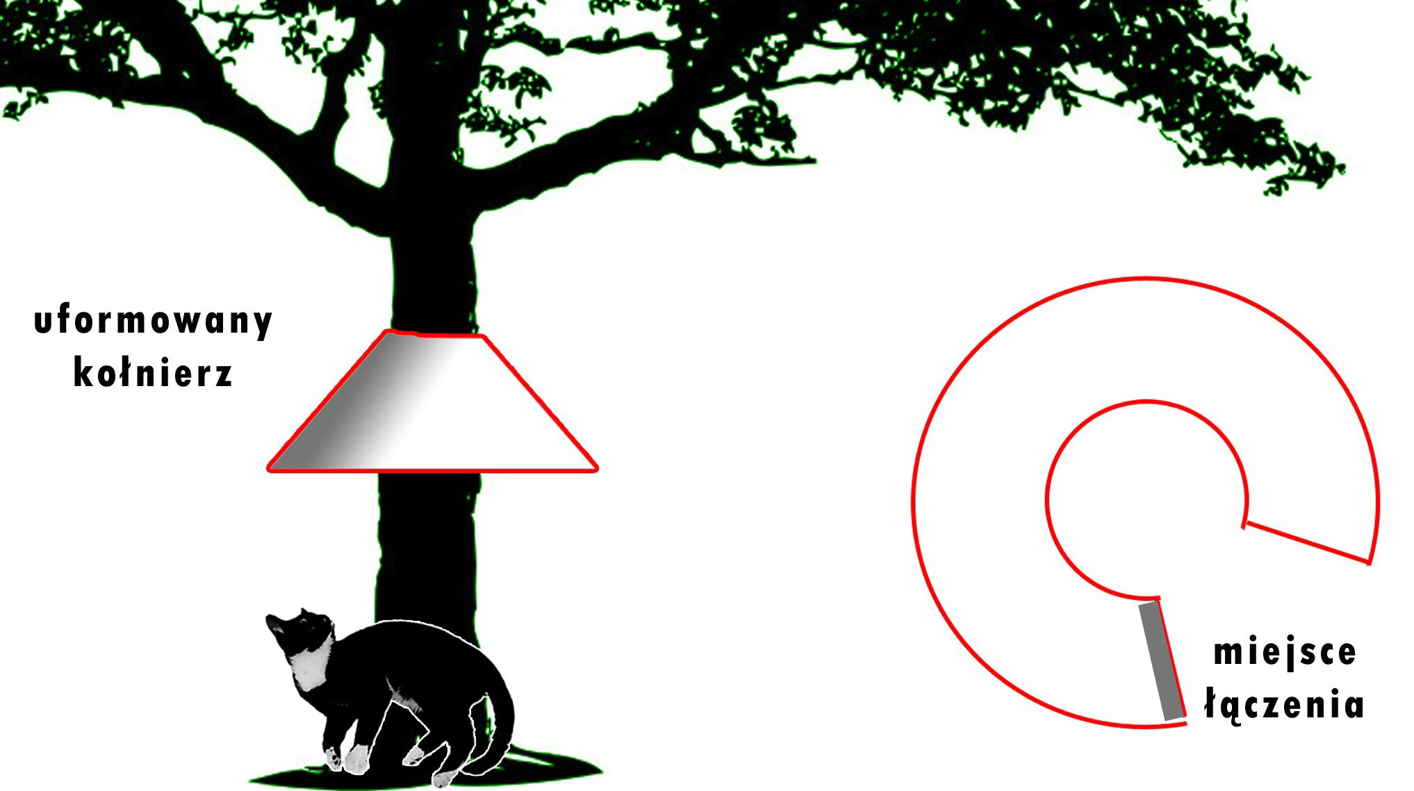 „Materiał na taki kołnierz powinien być elastyczny i gładki (np.plastik, wykładzina PCV)”. Ilustrację wykonał Edward Rakowiec