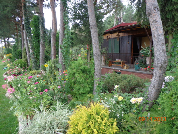 Moje miejsce na ziemi