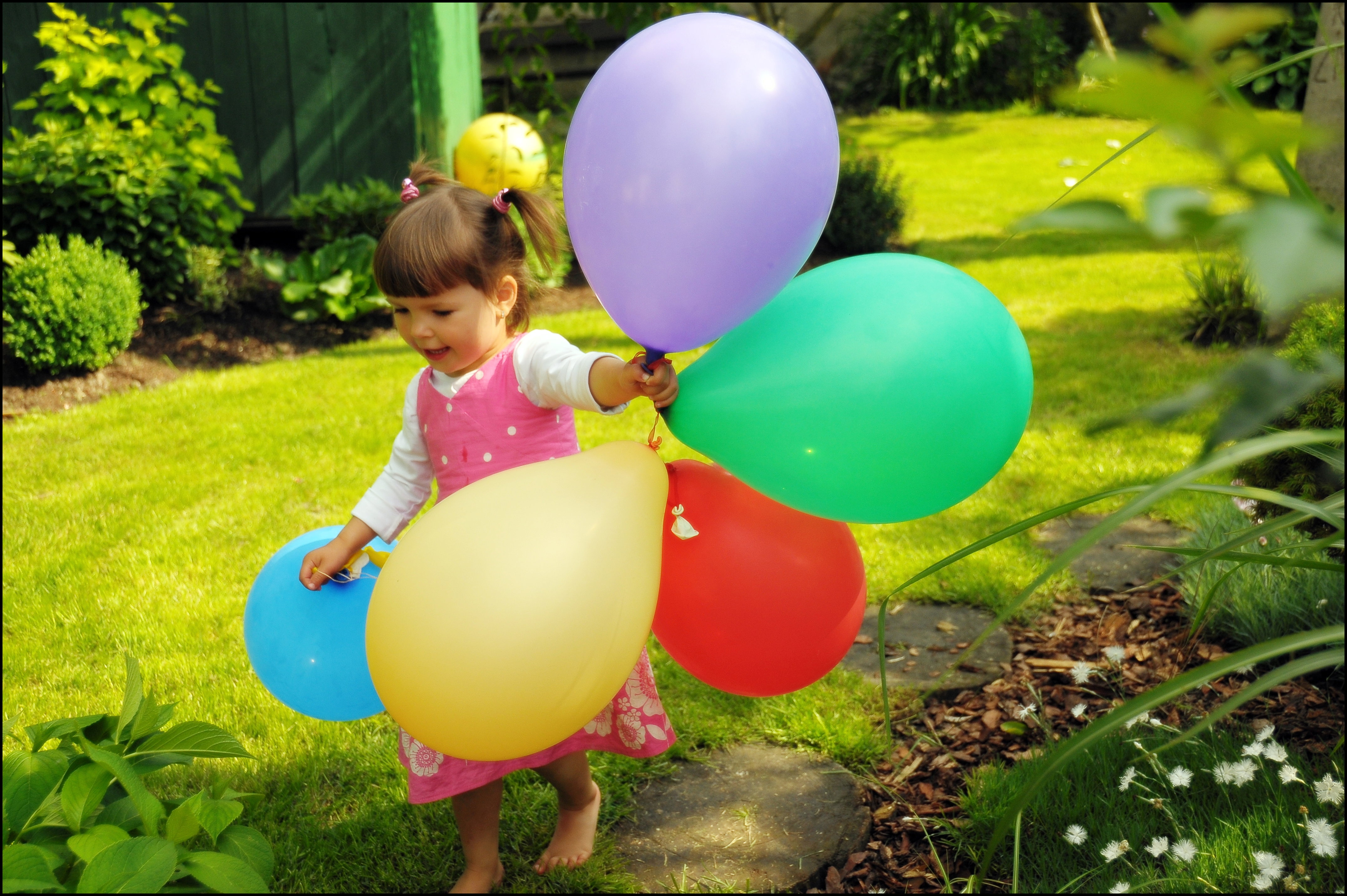 Na bosaka po kroplach rosy