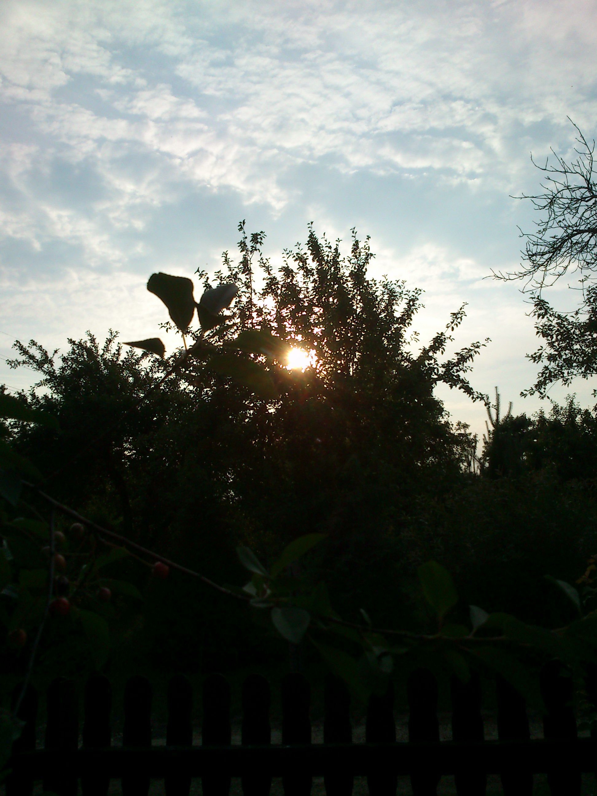 Na łonie natury mogę spędzać całe dnie ;)