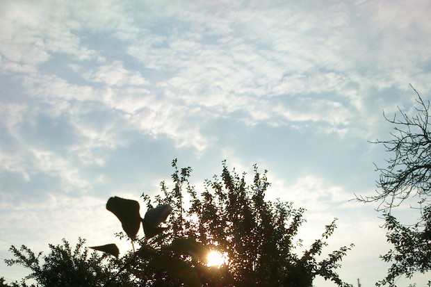 Na łonie natury mogę spędzać całe dnie ;)