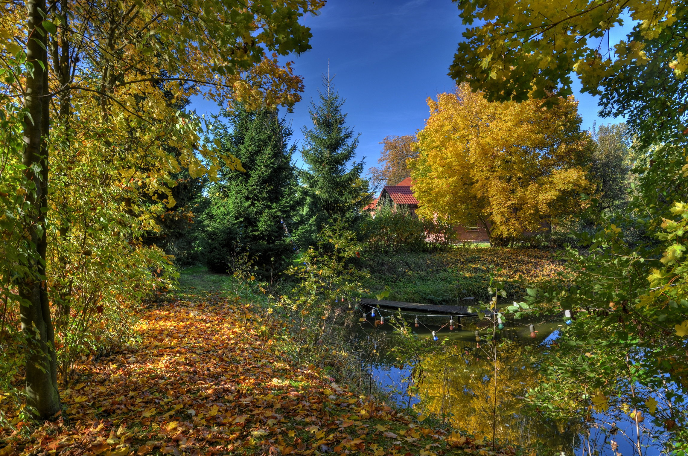 NAD STAWEM W JESIENNYCH BARWACH