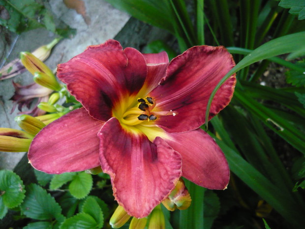 Nic dodać, nic ująć