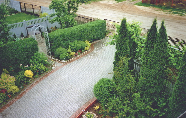 Obszar za żywopłotem jest pełen drzew i krzewów owocowych.