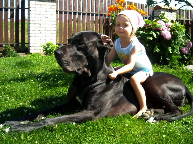 Ogród, Córcia i jej ukochany olbrzym