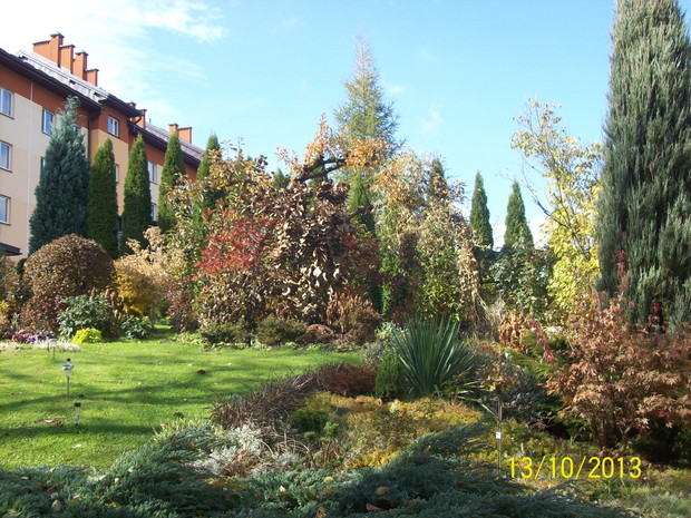 Ogród pędzlem artysty malowany

