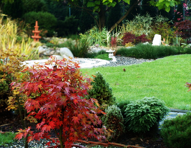 Ogród w jesiennych barwach