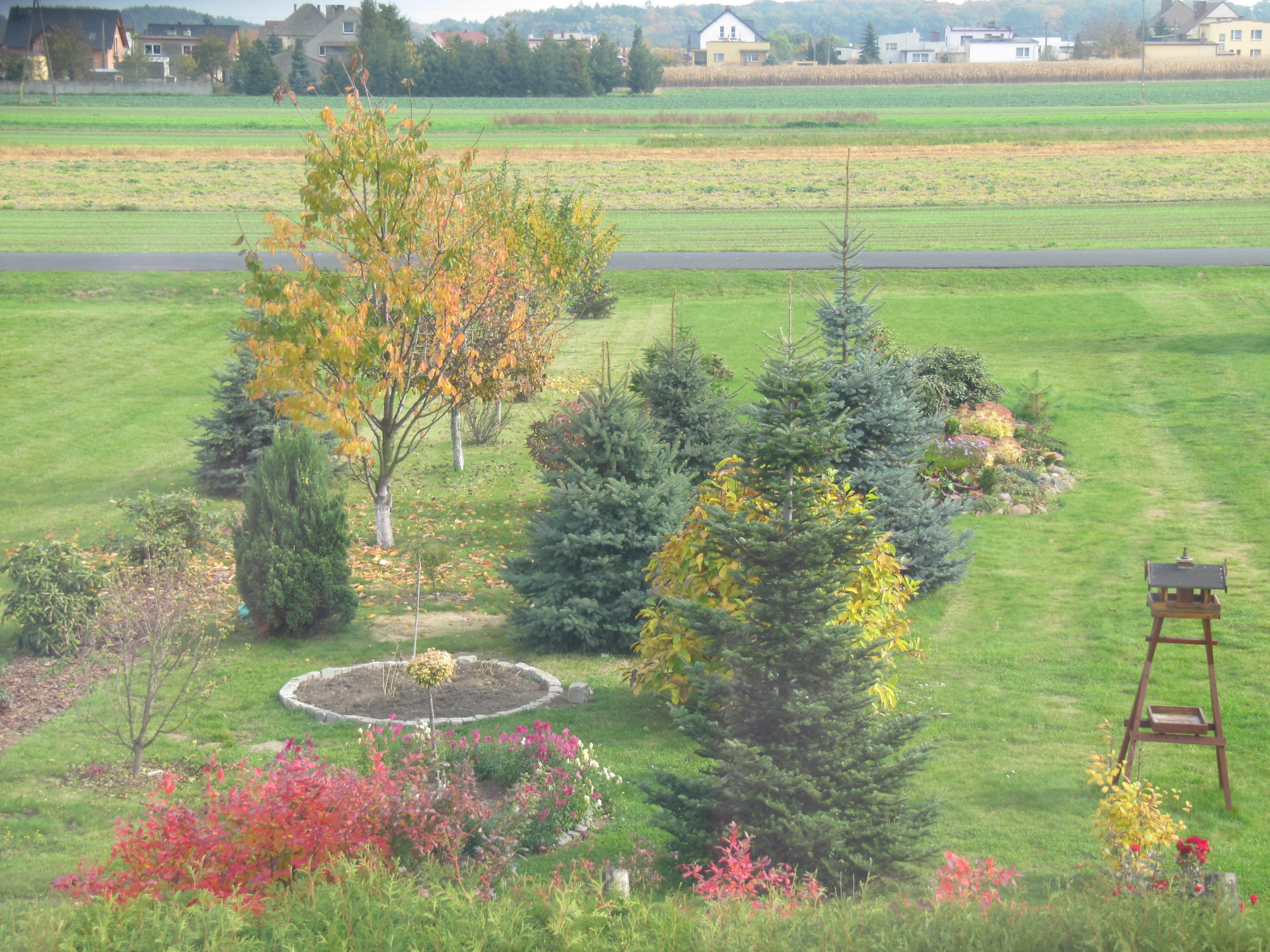 ogród w pażdzierniku