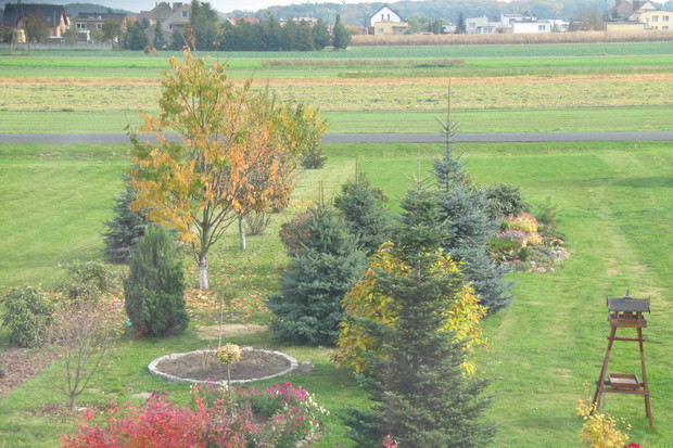 ogród w pażdzierniku