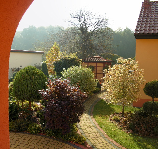 ogród z innej perspektywy