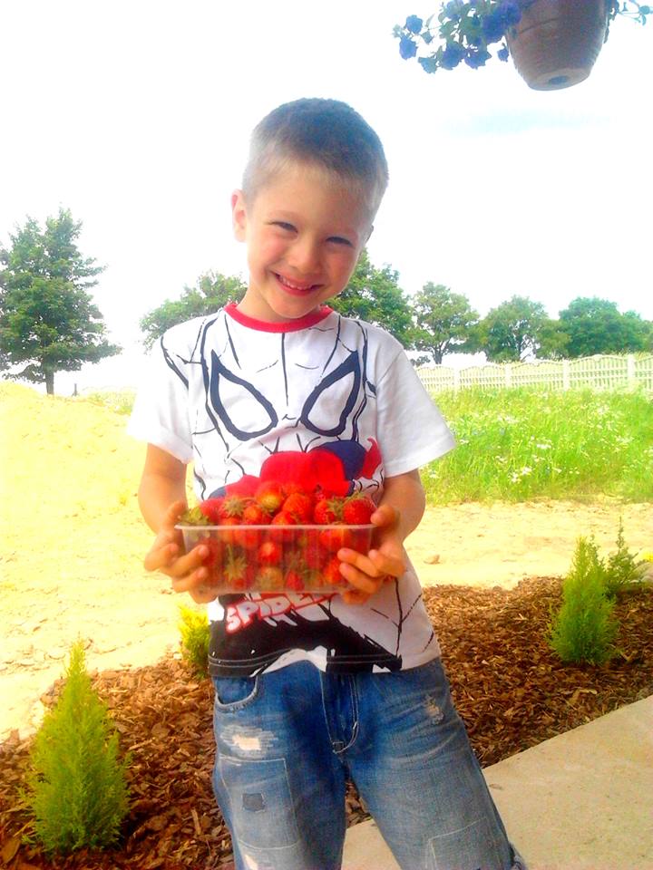 Pierwsze w tym roku truskawki z mojej działeczki :)