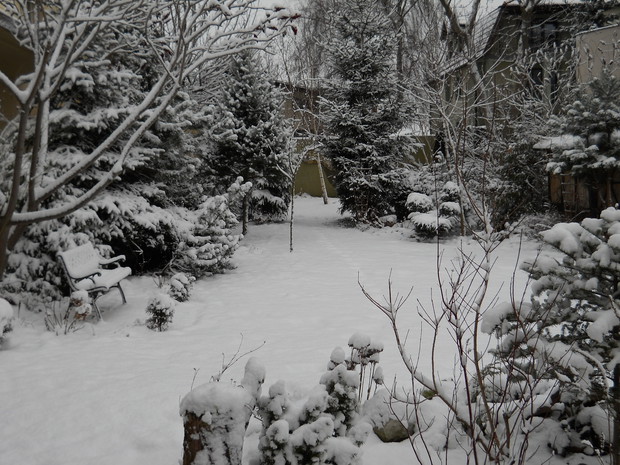 Pod śniegową pierzynką