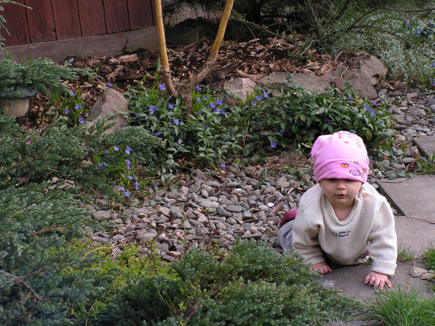 Raczkowanie po ogrodzie