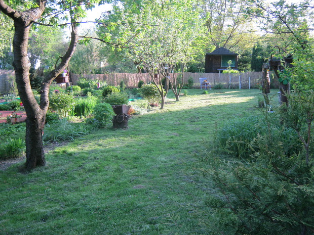 Samodzielne naprawienie trawnika okazało się czasochłonne, ale nietrudne