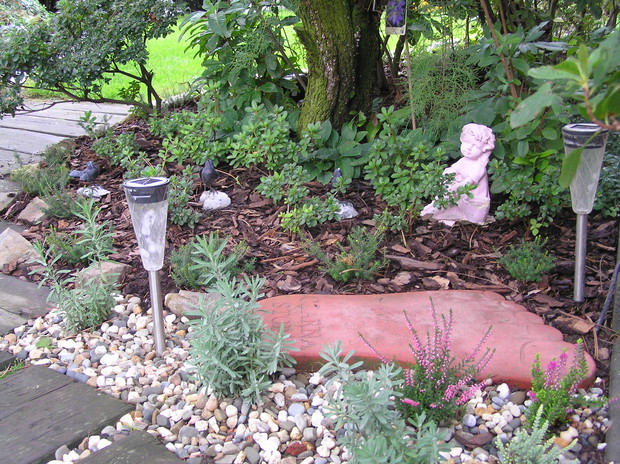 Serce jest jak wielki ogród, czasem w nim coś kwitnie czasem umiera. Nowa powstajaca rabata azaliowa wraz z lawendą.