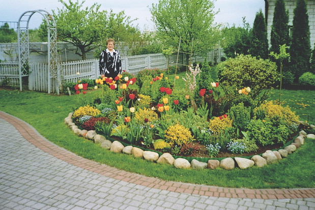 Staram się, by mój klomb był kolorowy przez cały sezon. Gdy przekwitają tulipany, w ich miejsce wsadzam astry.