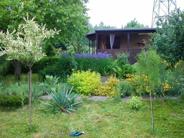 Świeżo i wiosennie.