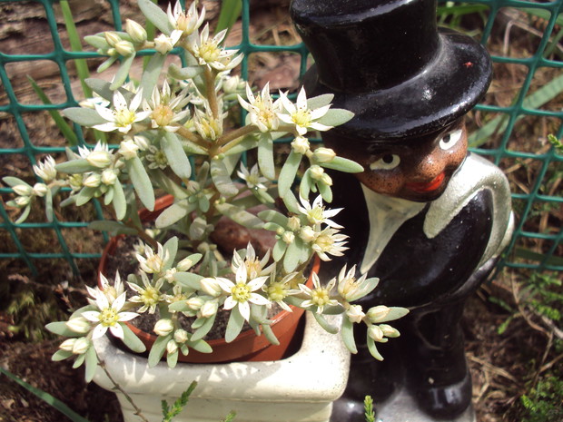 Tak na szczęście...