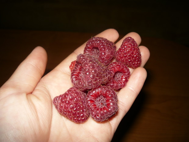 Takie soczyste i duże